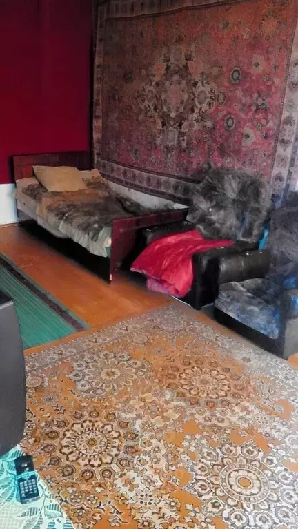 2-к кв. Рязанская область, Рязань Соборная ул., 42А (40.0 м) - Фото 2