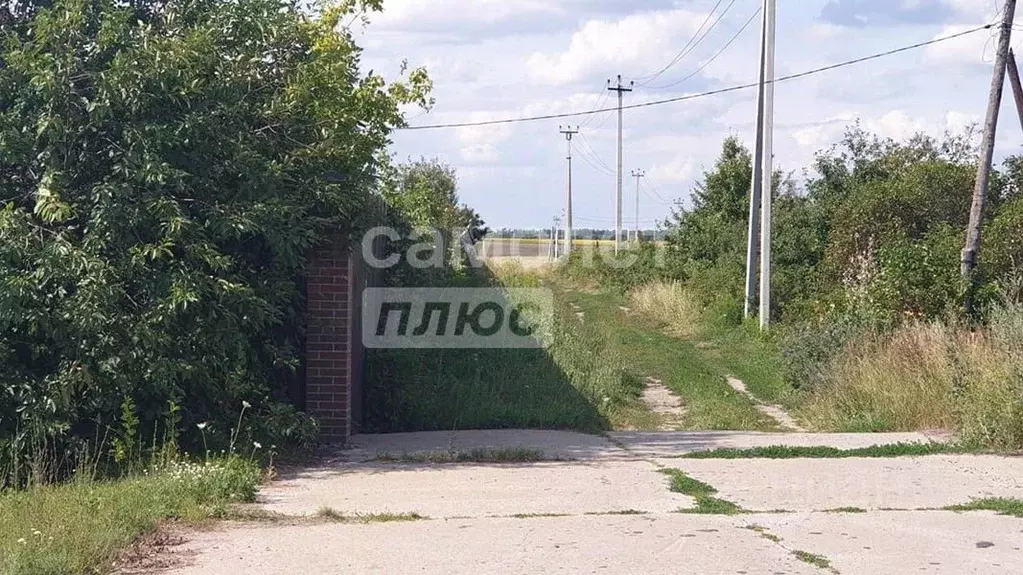 Участок в Курская область, Курский район, Клюквинский сельсовет, д. ... - Фото 1