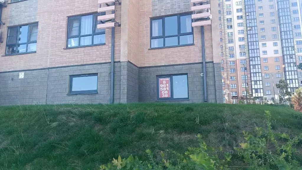 Торговая площадь в Краснодарский край, Новороссийск ул. Имени ... - Фото 1