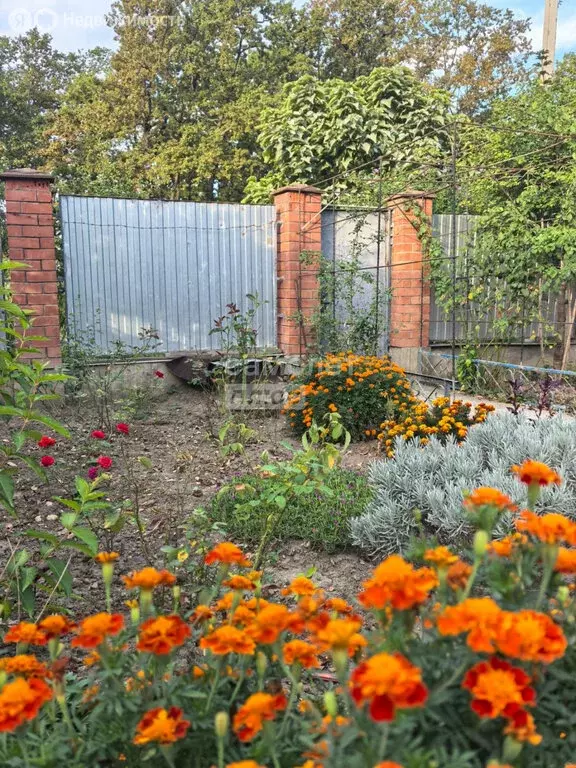 Дом в Табачный, Шоссейная улица, 100 (76.9 м) - Фото 1