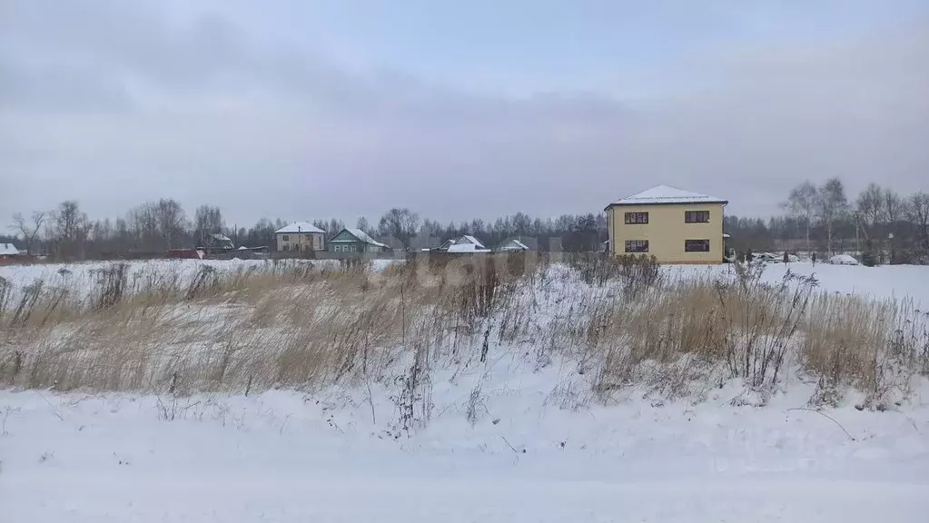 Участок в Ярославская область, Ярославский муниципальный округ, д. ... - Фото 2