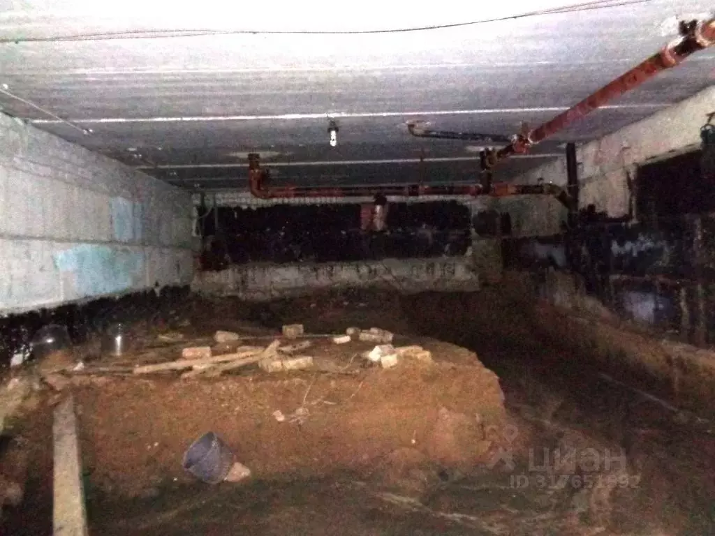 Помещение свободного назначения в Брянская область, Брянск ул. ... - Фото 1