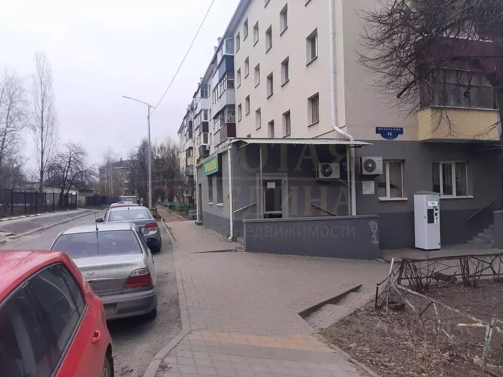 Торговая площадь в Белгородская область, Белгород ул. Некрасова, 16 ... - Фото 1
