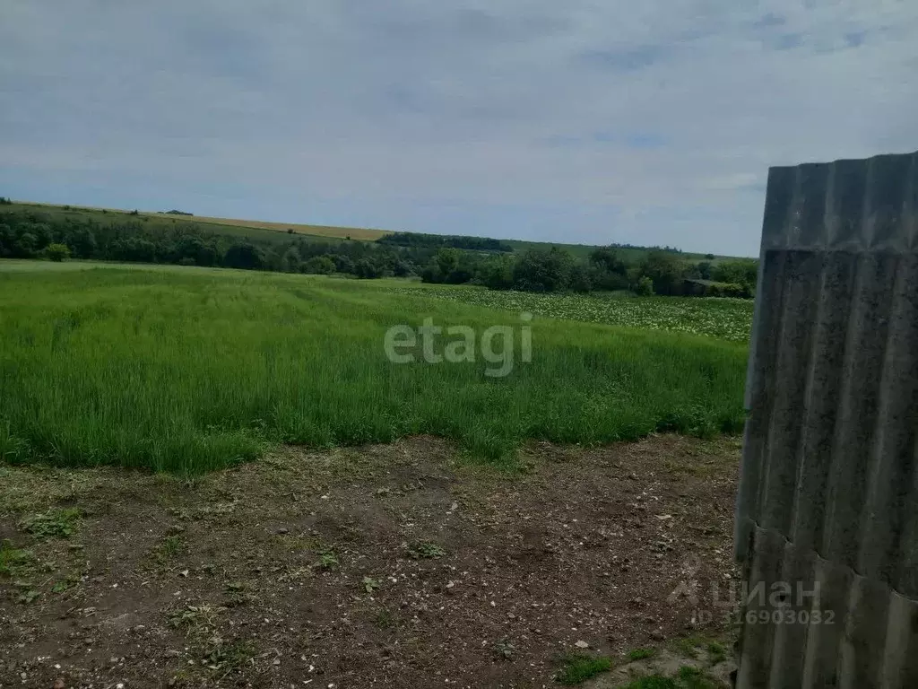 Участок в Курская область, Мантуровский район, Останинский сельсовет, ... - Фото 1