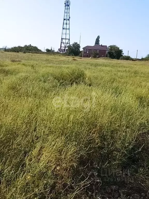 Участок в Краснодарский край, Ейский район, Александровское с/пос, с. ... - Фото 1