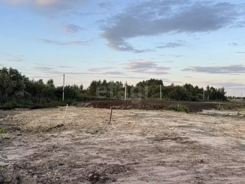 Участок в Тюменская область, Тюмень Дубок садовое товарищество,  (8.62 ... - Фото 1