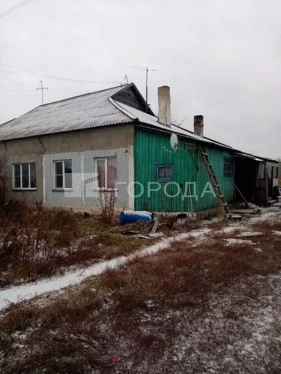 2-к кв. Новосибирская область, Коченевский район, д. Чик ул. Новая, 4 ... - Фото 1