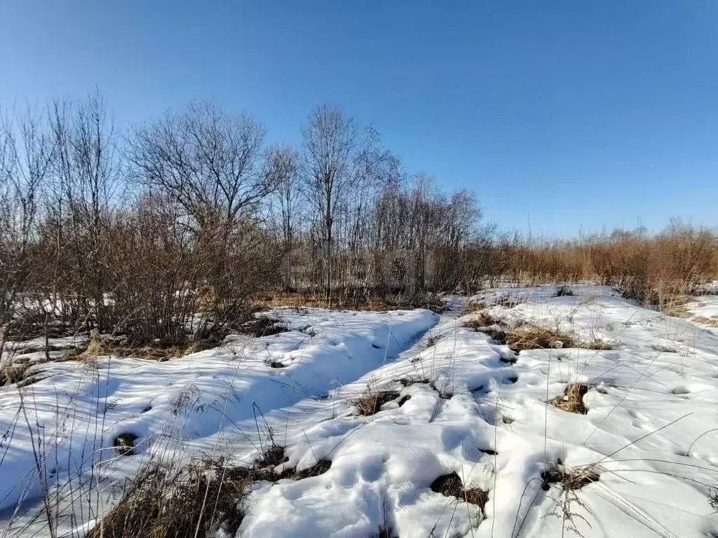 Участок в Ленинградская область, Волхов ул. Зеленое кольцо (10.0 сот.) - Фото 0