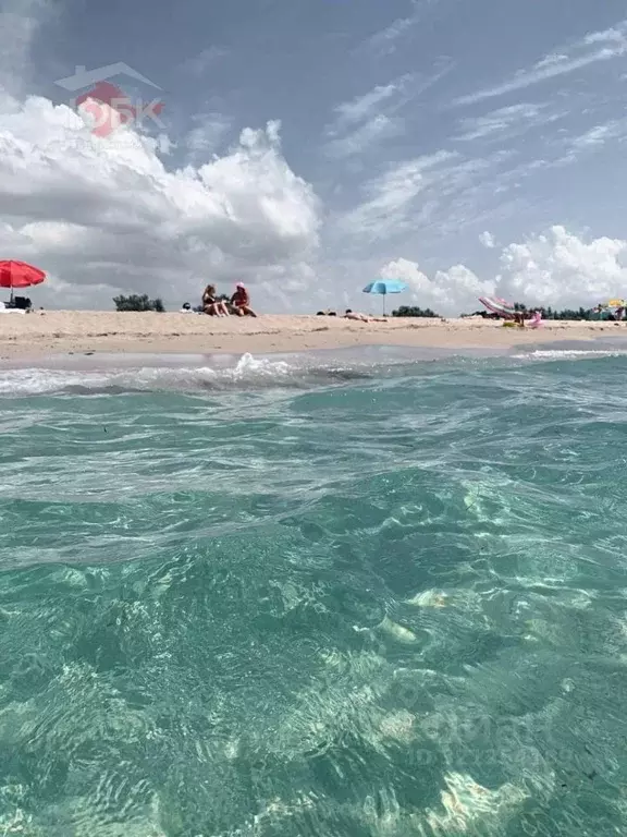 1-к кв. Крым, Сакский район, с. Штормовое ул. Ленина, 49 (35.7 м) - Фото 2