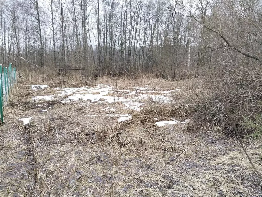 Участок в Ивановская область, Ивановский район, Богородское с/пос, ... - Фото 0