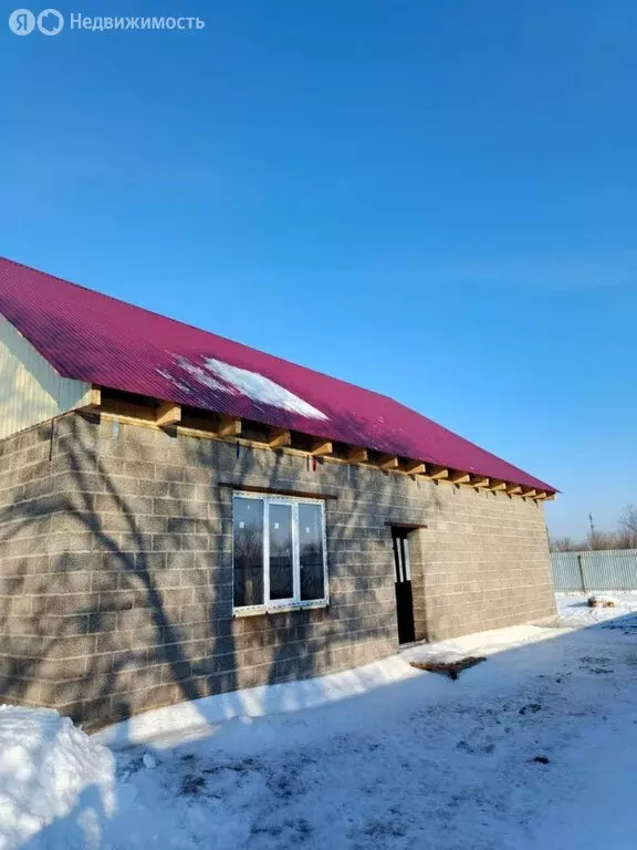 Дом в Оренбургская область, село Илек (110 м) - Фото 1