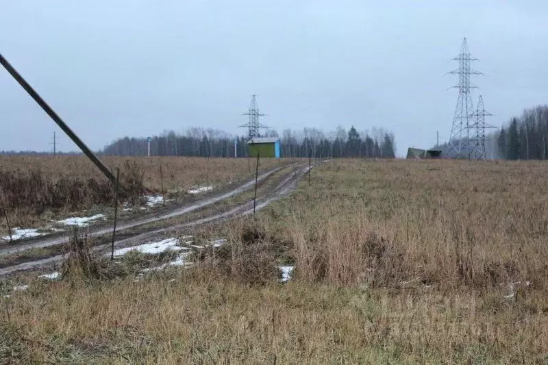 Участок в Ивановская область, Тейковский район, Нерльское городское ... - Фото 1
