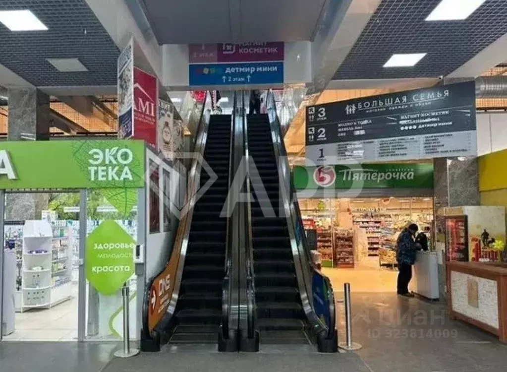 Помещение свободного назначения в Брянская область, Брянск просп. ... - Фото 2