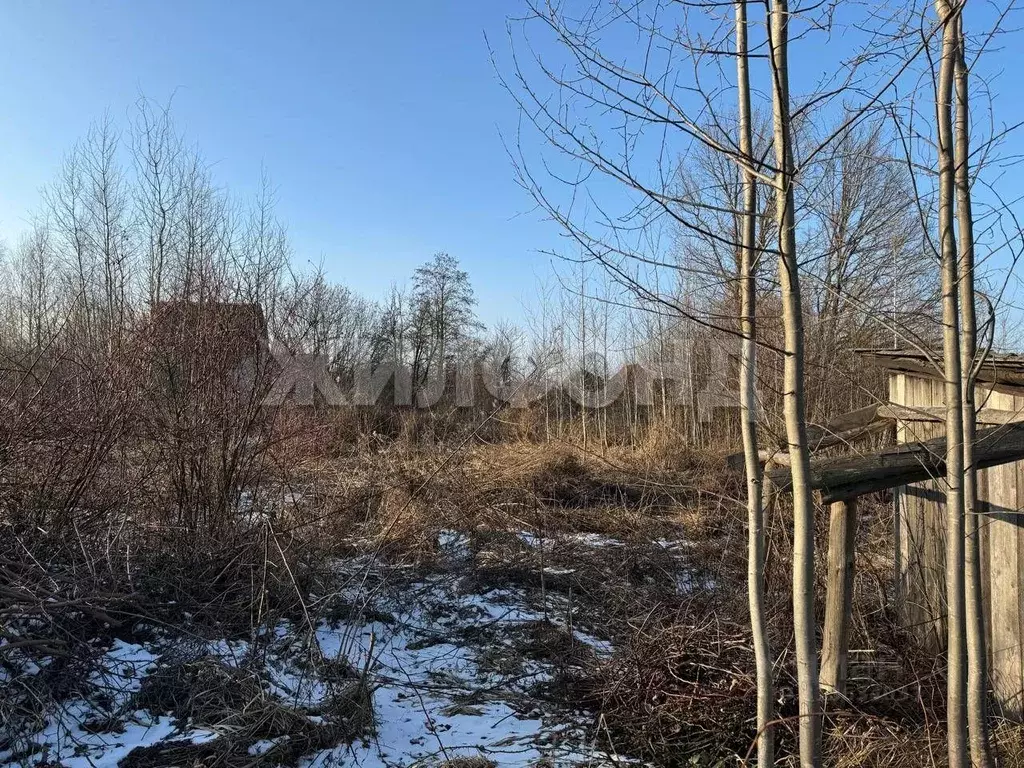 Участок в Брянская область, Брянск  (11.0 сот.) - Фото 0