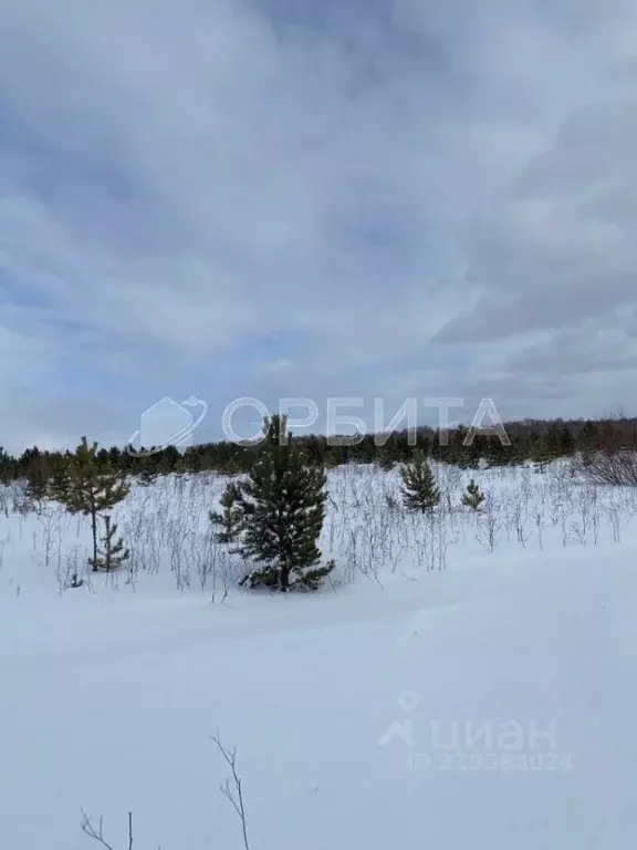 Участок в Тюменская область, Тюменский район, д. Елань 14 (7.0 сот.) - Фото 0