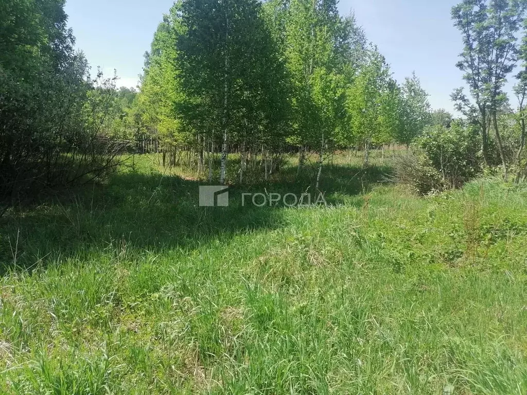 Участок в Алтайский край, Первомайский район, Лосиха рзд  (25.0 сот.) - Фото 1