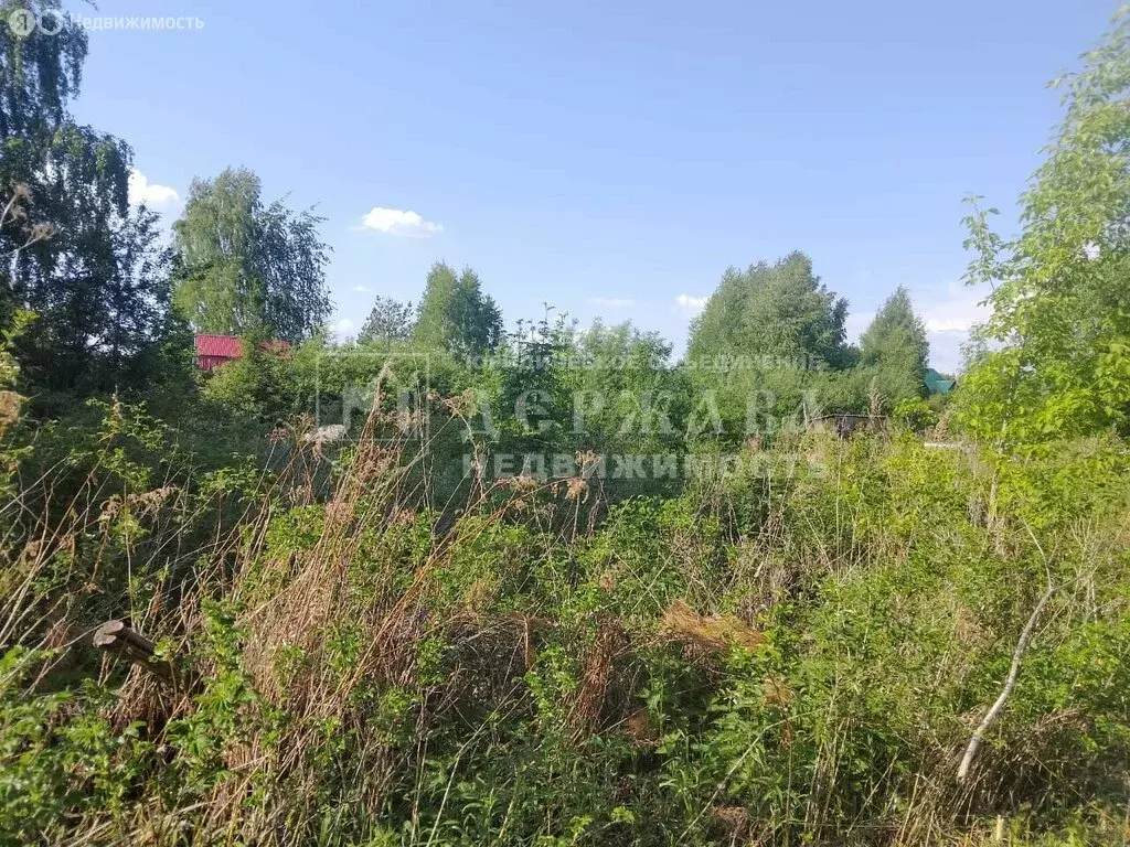 Участок в Кемеровский муниципальный округ, СДТ Берёзка-2 (6 м) - Фото 1