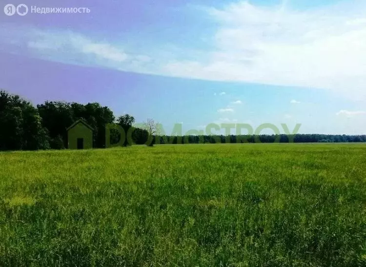 Участок в Новосибирский район, село Толмачёво (10.5 м) - Фото 0