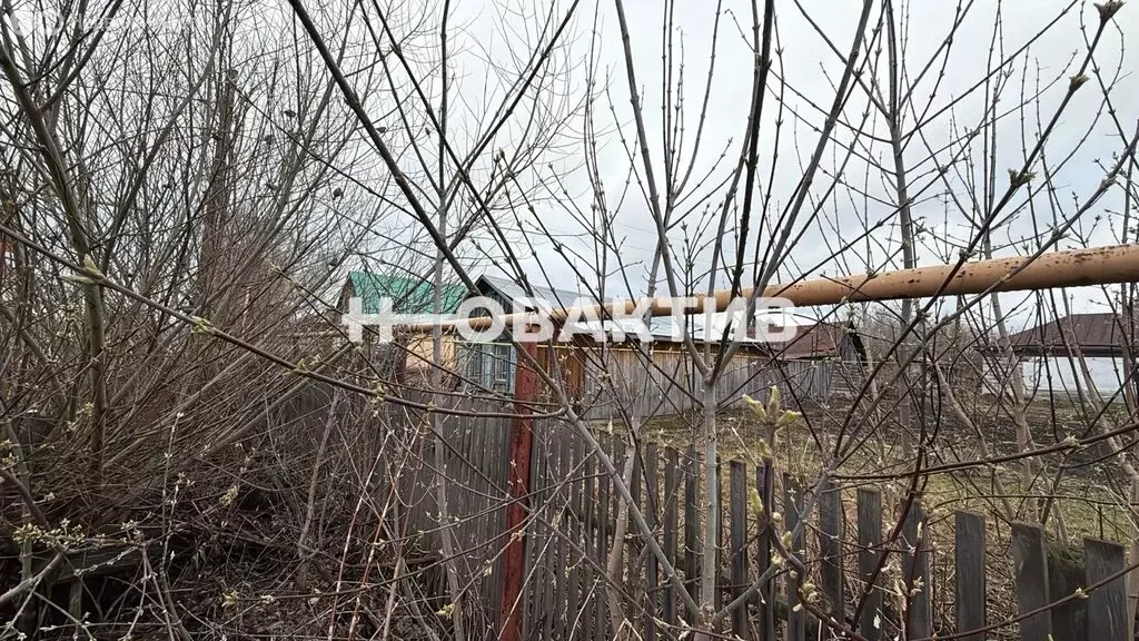 Дом в Новосибирская область, рабочий посёлок Коченёво, проспект ... - Фото 1