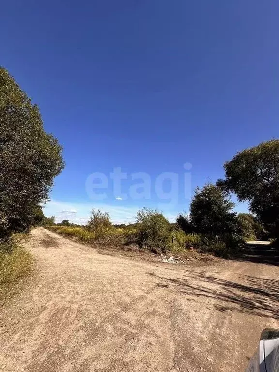 Участок в Калининградская область, Светловский городской округ, пос. ... - Фото 1