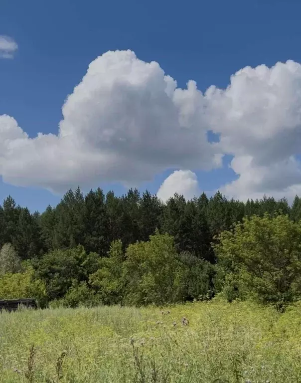 Участок в Самарская область, Красноярский район, Большая Каменка ... - Фото 1