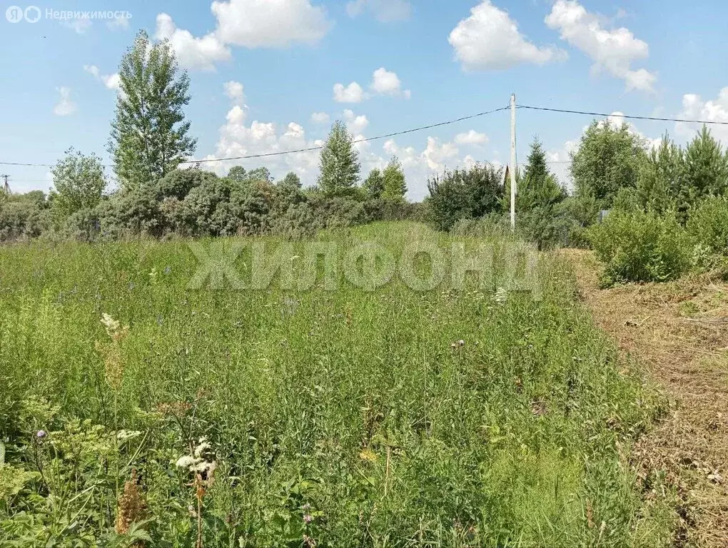 Участок в Новосибирская область, рабочий посёлок Колывань (11.8 м) - Фото 0