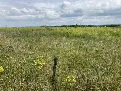 Участок в Ульяновская область, Чердаклинский район, Белоярское с/пос, ... - Фото 1