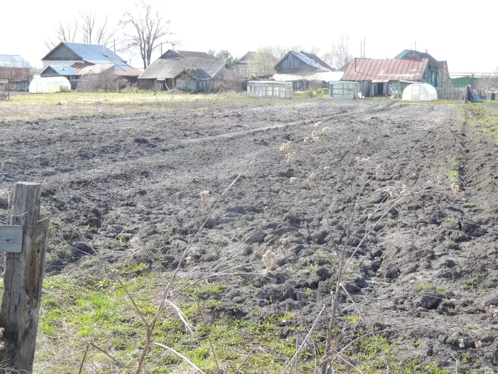 Участок в Нижегородская область, Арзамас городской округ, с. Кичанзино ... - Фото 2