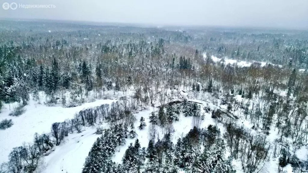 Участок в Тверская область, Торопецкий муниципальный округ, деревня ... - Фото 1