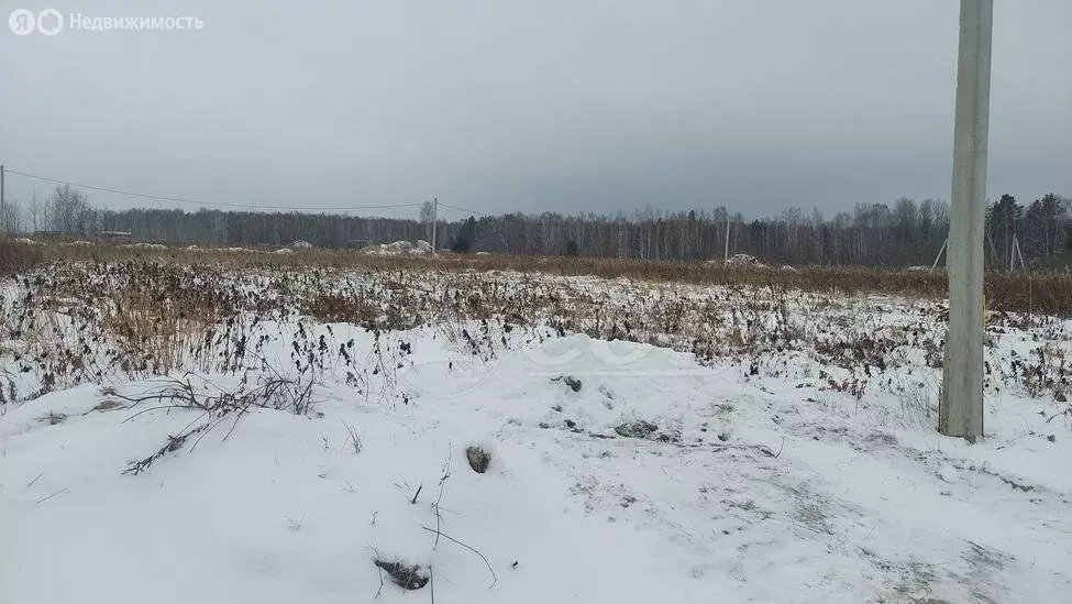 Участок в Тюменский район, село Каменка (7.4 м) - Фото 0