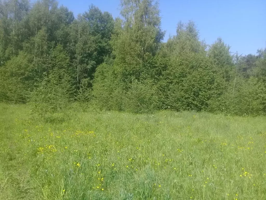 Участок в Ярославская область, Переславль-Залесский городской округ, ... - Фото 0