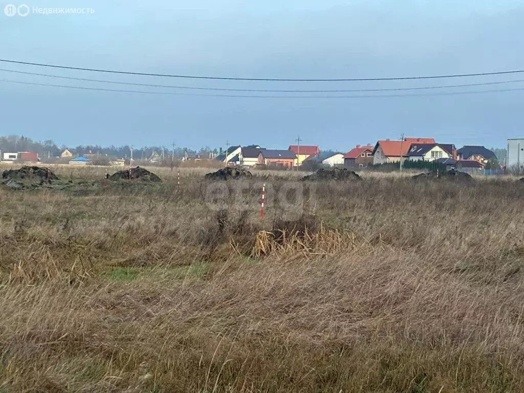 Участок в Калининградская область, Зеленоградский муниципальный округ, ... - Фото 1