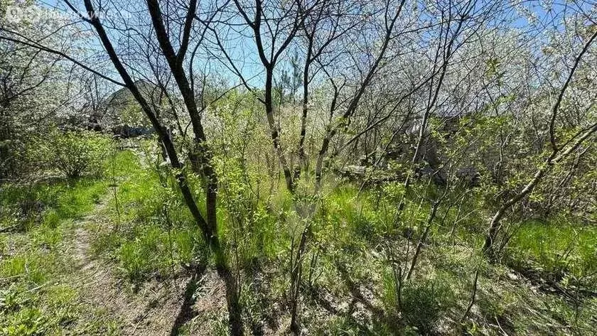 Участок в Старый Оскол, СНТ Маришкин Сад (5 м) - Фото 2