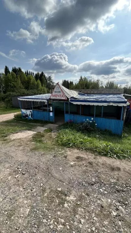 Участок в Кировская область, Кирово-Чепецкий район, Пасеговское с/пос, ... - Фото 2