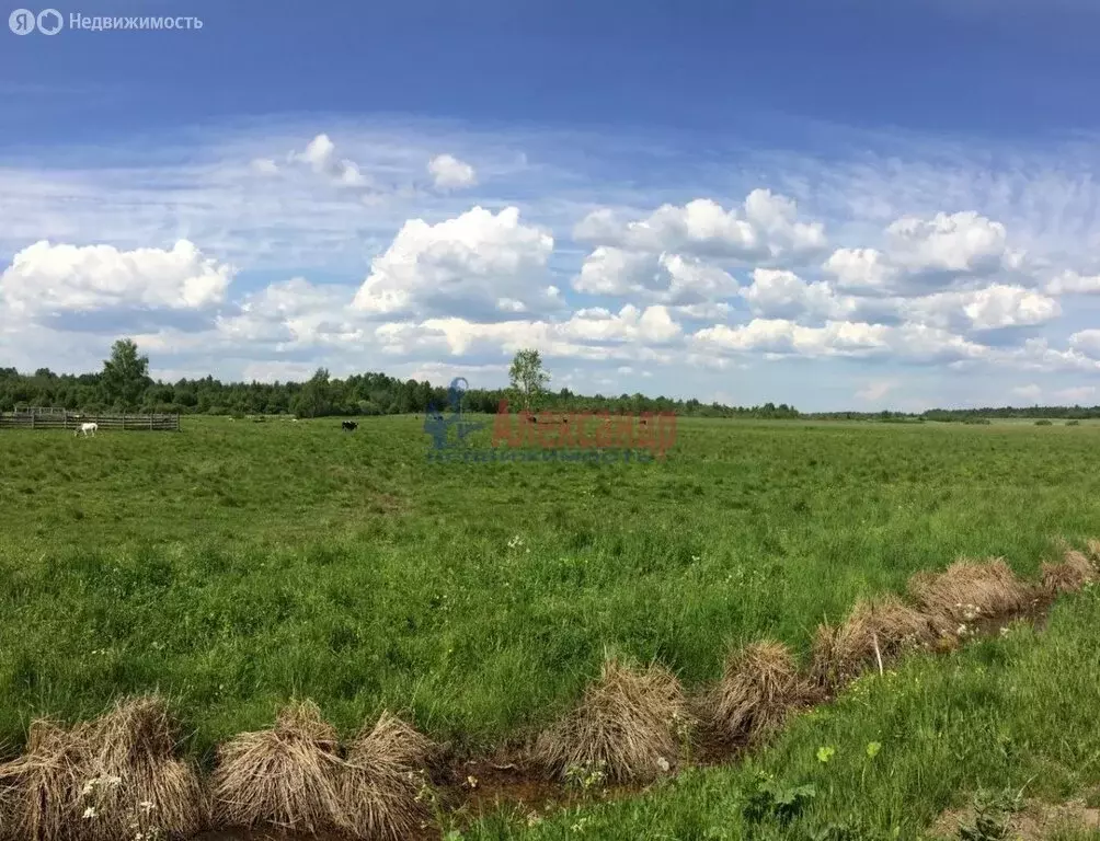 Участок в Выборгский район, посёлок Гончарово (197 м) - Фото 0