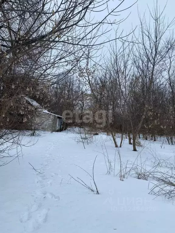 Дом в Белгородская область, Губкинский городской округ, с. Чапкино ул. ... - Фото 1