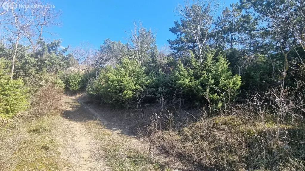 Участок в село Мысхако, Соловьиная улица (6.5 м) - Фото 1