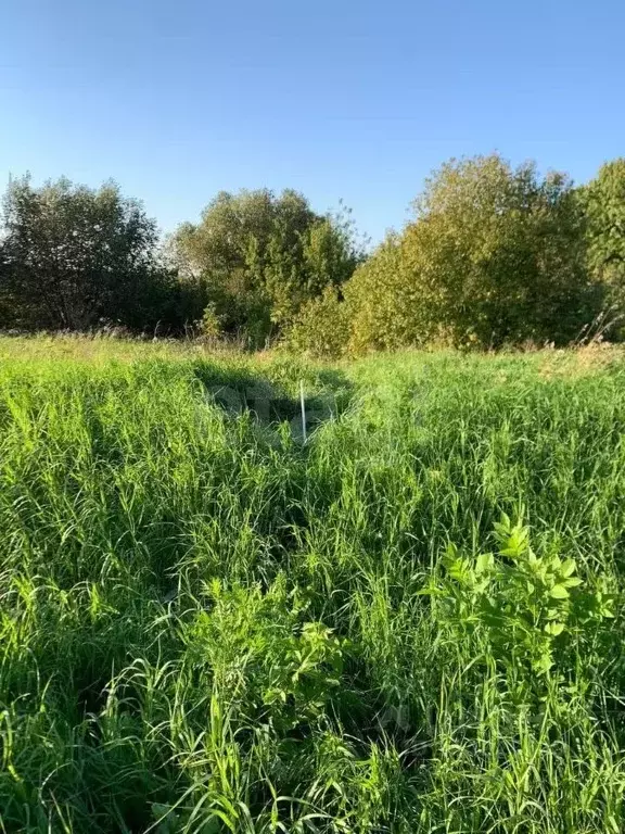 Участок в Тульская область, Новомосковск городской округ, с. Стрельцы  ... - Фото 1