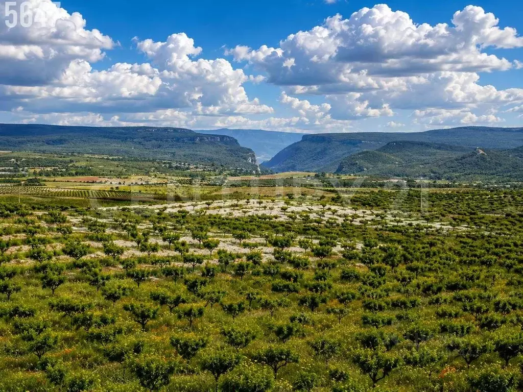 Участок в Севастополь с. Пироговка, СНТ Надежда-Таврида ТСН, 30 (5.0 ... - Фото 2