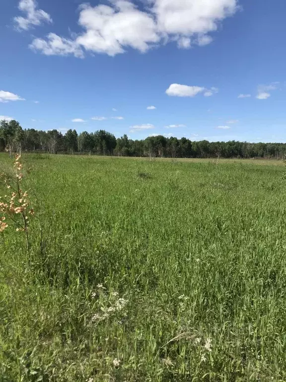 Участок в Свердловская область, Екатеринбург муниципальное ... - Фото 1