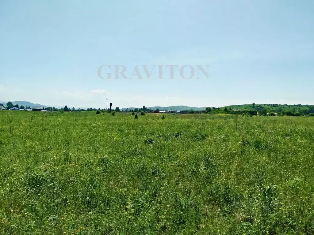 Участок в Алтай, Майминский район, с. Подгорное  (10.0 сот.) - Фото 2