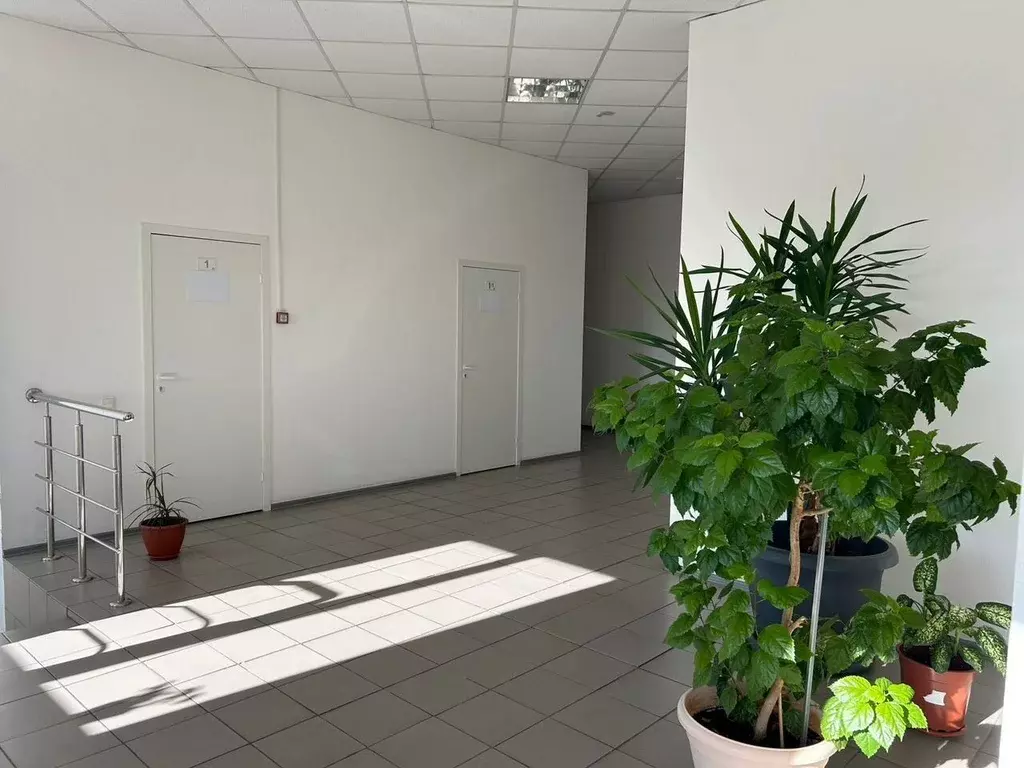 Офис в Новосибирская область, Новосибирск ул. Писемского, 1А (20 м) - Фото 1