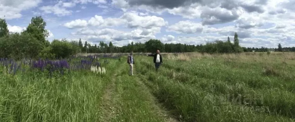Участок в Смоленская область, Сафоновский муниципальный округ, д. ... - Фото 0
