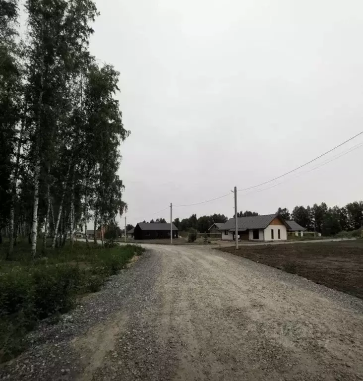 Участок в Новосибирская область, Новосибирский район, Кудряшовский ... - Фото 2