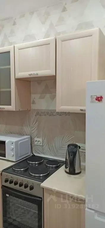 1-к кв. Красноярский край, Красноярск Ключевская ул., 67 (29.0 м) - Фото 1