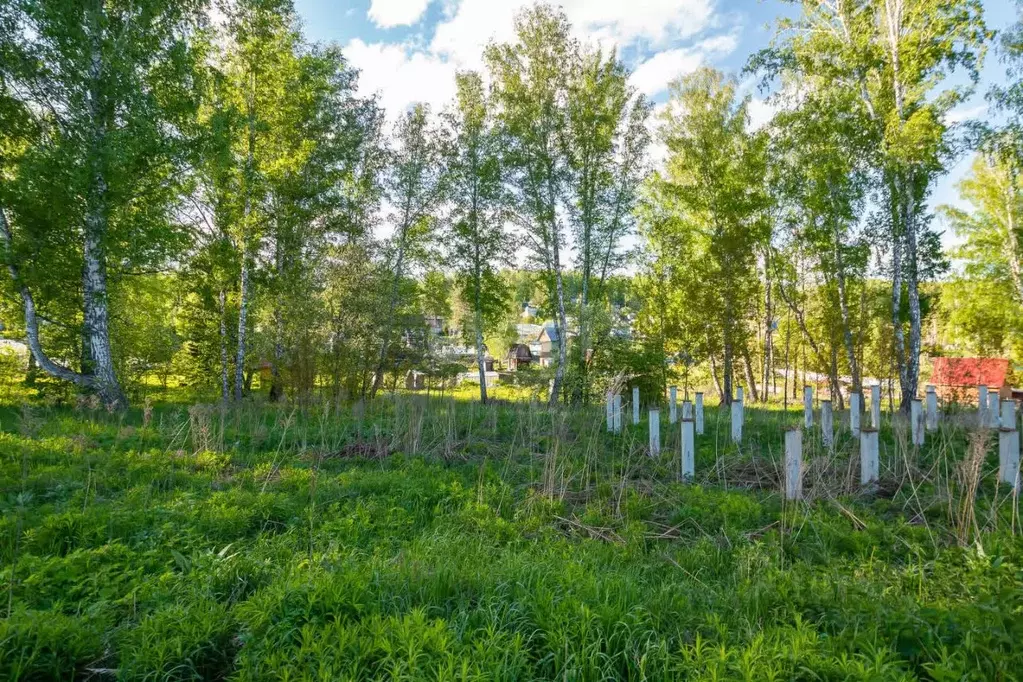 Участок в Новосибирская область, Новосибирский район, Барышевский ... - Фото 1