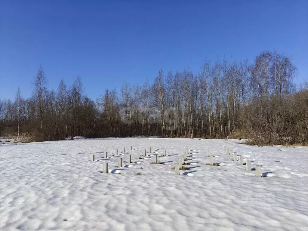 Участок в Ярославская область, Ярославский муниципальный округ, с. ... - Фото 2