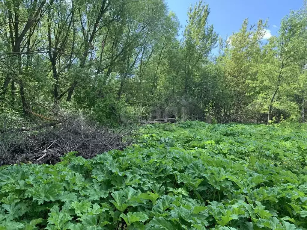 Участок в Мордовия, Саранск Натуралист СНТ,  (4.0 сот.) - Фото 0
