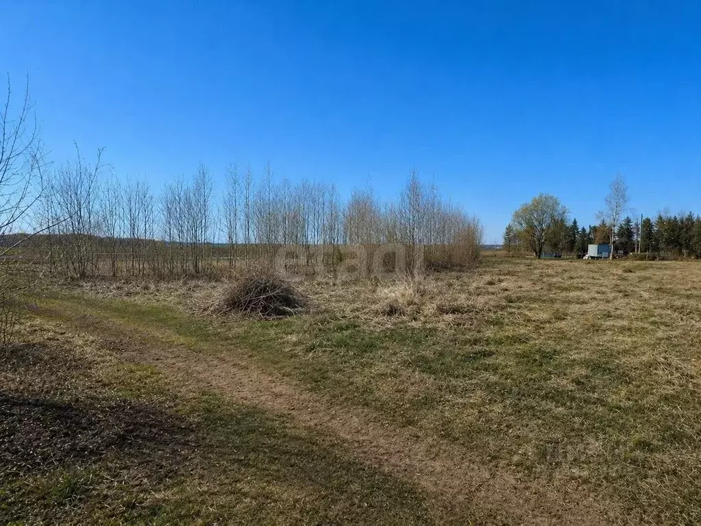 Участок в Ленинградская область, Гатчинский муниципальный округ, д. ... - Фото 2