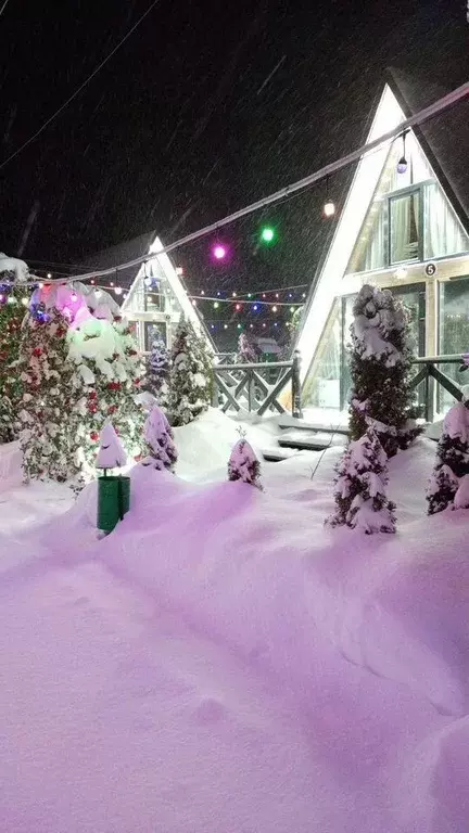 Дом в Московская область, Раменский муниципальный округ, Рыболово парк ... - Фото 1